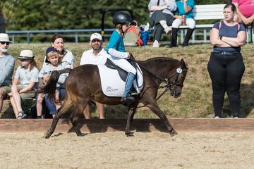 Bild 135 - Pony Akademie Turnier